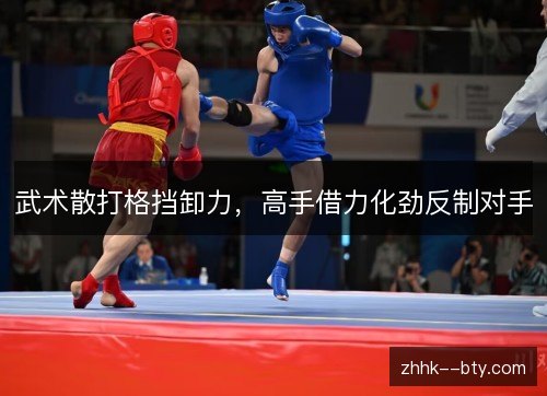 武术散打格挡卸力,高手借力化劲反制对手 武术散打格挡卸力,高手借力化劲反制对手